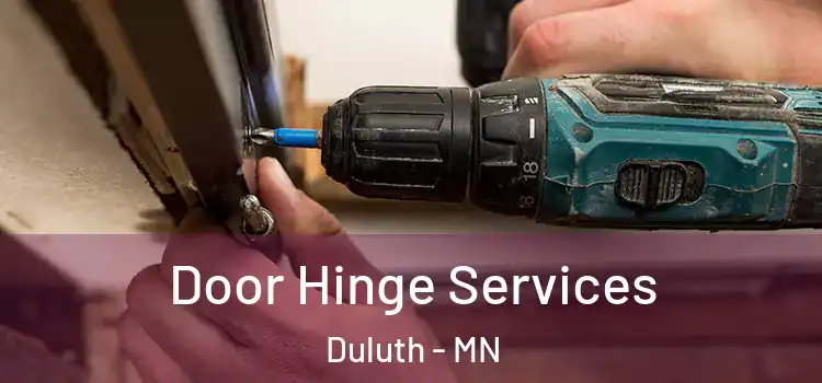  Door Hinge Services Duluth - MN