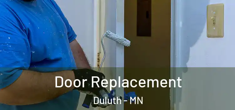  Door Replacement Duluth - MN