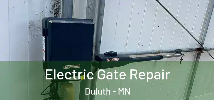  Electric Gate Repair Duluth - MN