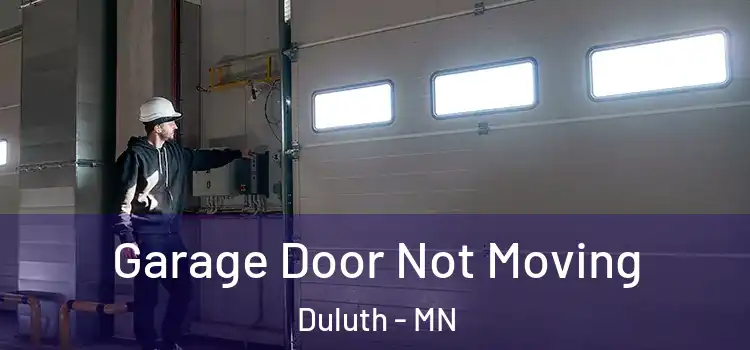  Garage Door Not Moving Duluth - MN