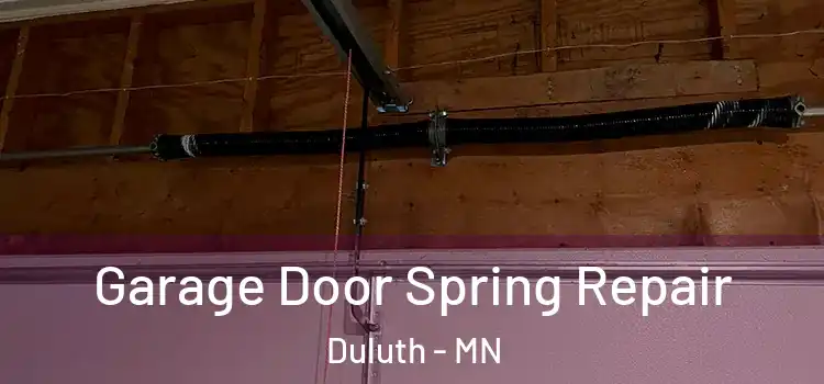  Garage Door Spring Repair Duluth - MN