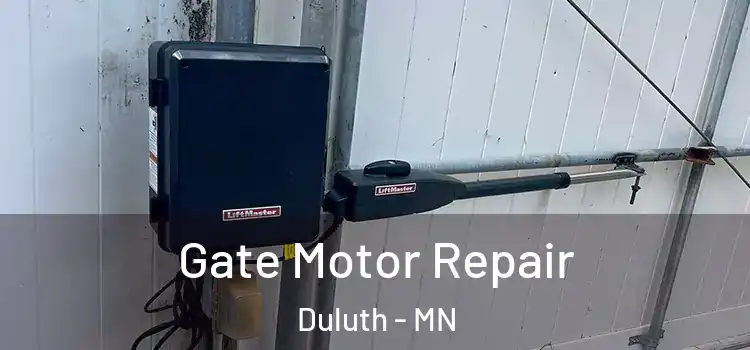  Gate Motor Repair Duluth - MN