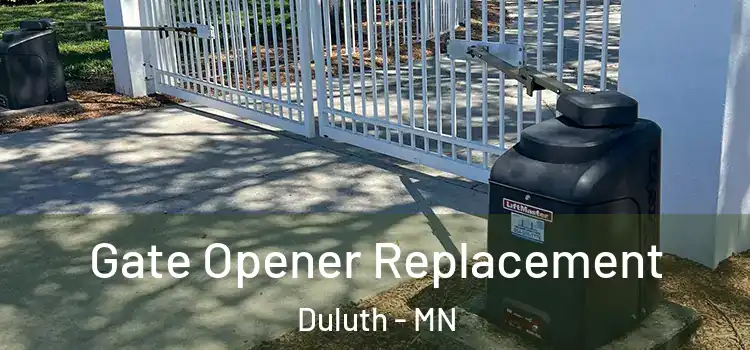  Gate Opener Replacement Duluth - MN