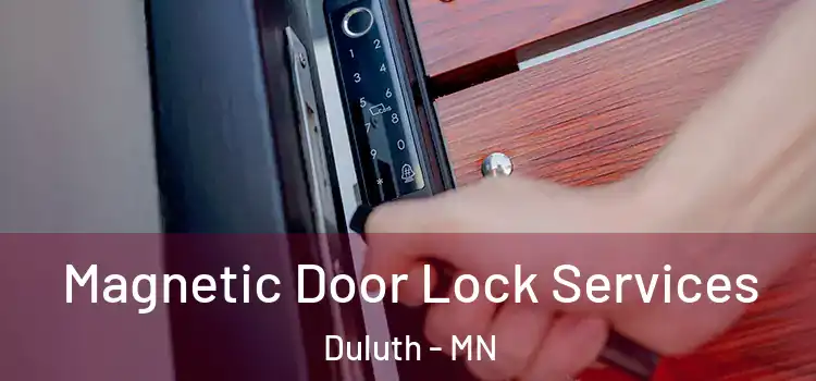  Magnetic Door Lock Services Duluth - MN