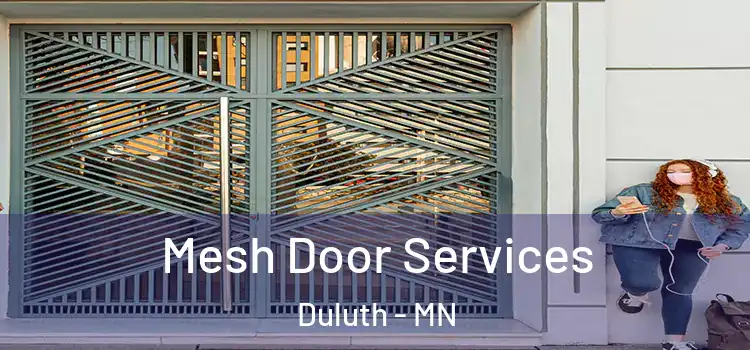 Mesh Door Services Duluth - MN