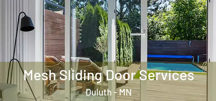  Mesh Sliding Door Services Duluth - MN