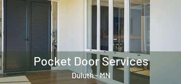 Pocket Door Services Duluth - MN
