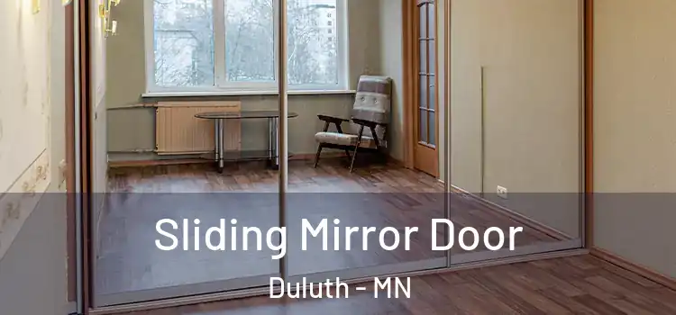  Sliding Mirror Door Duluth - MN