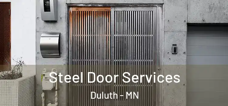  Steel Door Services Duluth - MN